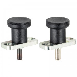 EH 22120.: Index Plungers ‒ with mounting flange